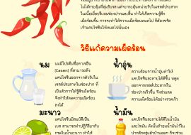 แก้เผ็ด พารามิเตอร์รูปภาพ 1
